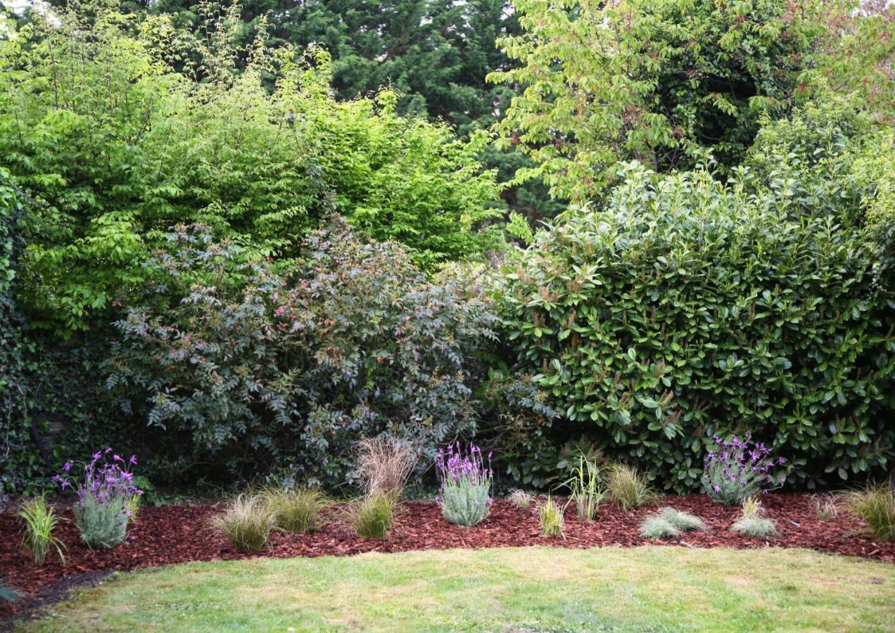 L'Eden Chic - Balneo - Jardin - Parking Gratuit Apartment Arras Exterior photo